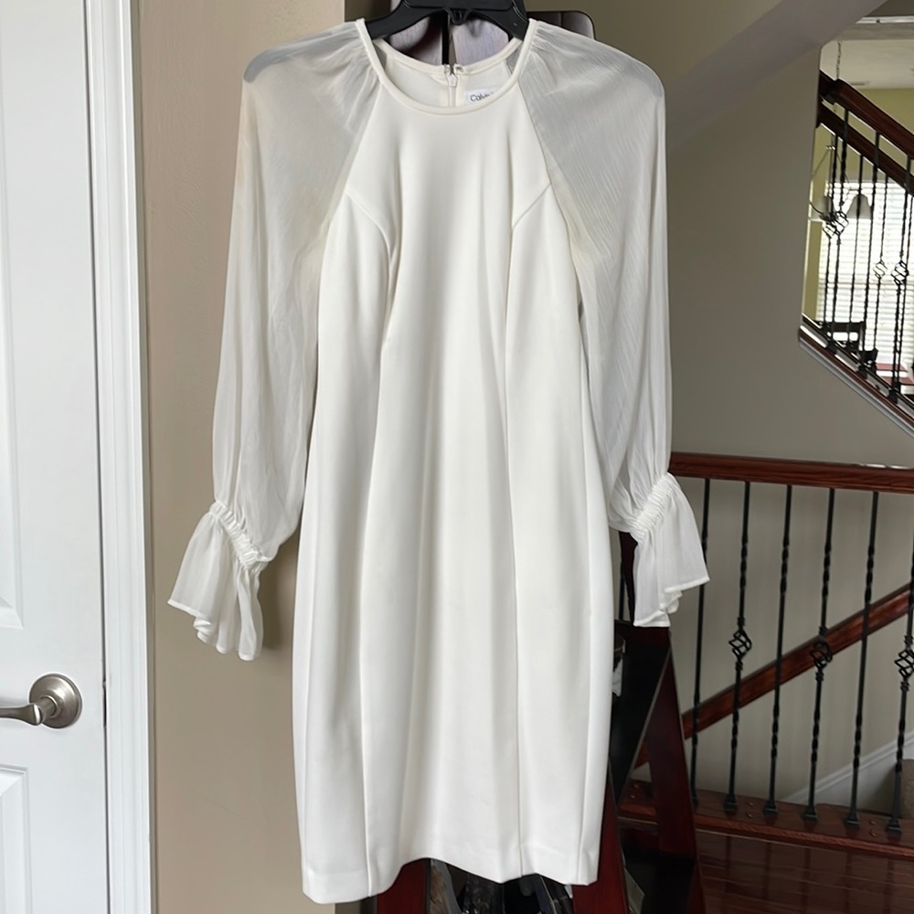 Calvin Klein Sheer-sleeve Sheath Cream/white Dress; Size 2P
